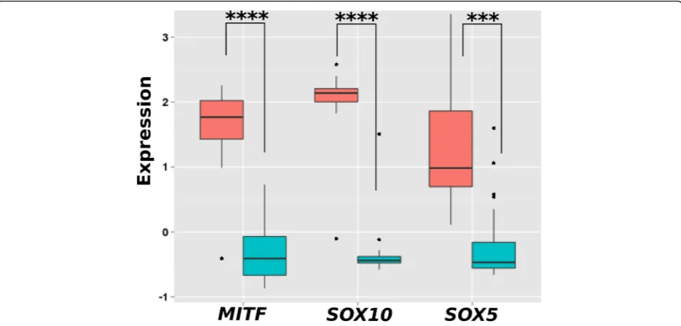 Table 1 Results of the bottom-up approach for modeling MITF regulation using Mixed Integer Linear Programming