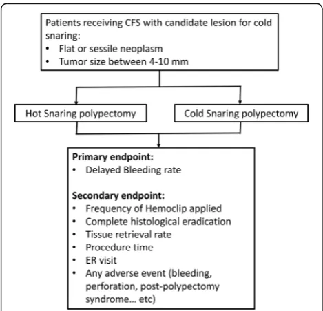 Fig. 3 Schedule of enrollment, interventions, and assessments as per Standard Protocol Items: Recommendations for Interventional trials (SPIRIT)