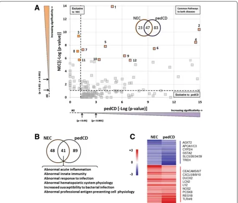 Table 2 Exclusive upstream regulators in human necrotizing enterocolitis