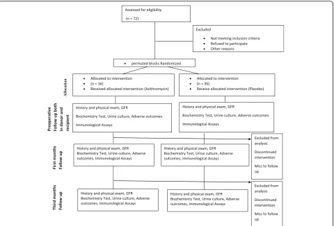 Fig. 1 Consolidated Standards of Reporting Trials (CONSORT) diagram showing the flow of participants through each stage of a randomized trial