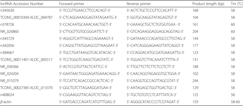 Table 1 Microarray expression results of selected lncRNAs. “S” represents H.pylori-infected GES-1 groups, and “C” represents controlgroups