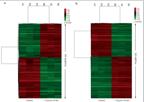 Fig. 1 Hierarchical clustering analysis of gene expression levels betweenlinkage clustering algorithm and visualized by Treeview