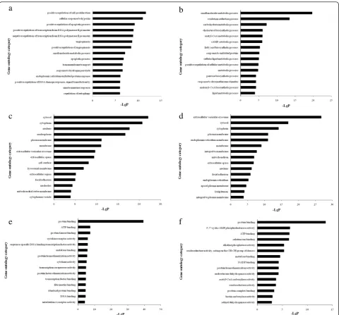 Fig. 2 GO enrichment analysis of aberrantly expressed mRNAs. GO analysis of lncRNA co-expressed mRNAs according to biological processtargeted by down-regulated mRNAs