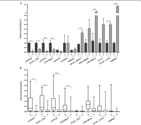 Fig. 4 Expression patterns of the candidate lncRNAs in cells and clinical tissue samples