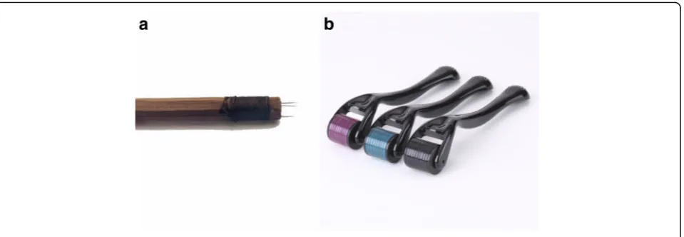 Fig. 4 Diagram of ancient crossbow needle and skin needle. a An ancient crossbow needle