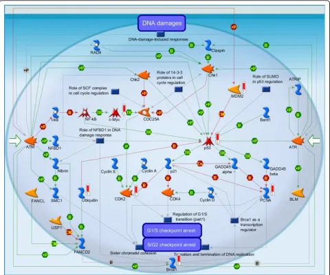 Figure 3 DNA damage_ATM/ATR regulation of G1/S checkpoint. It is the highest scoring map (i.e., the map with the lowest p value)