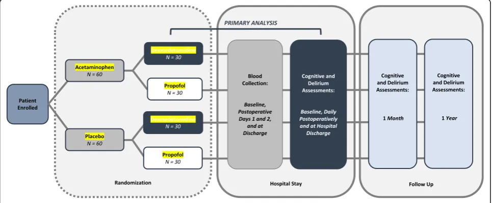 Fig. 1 Study schema