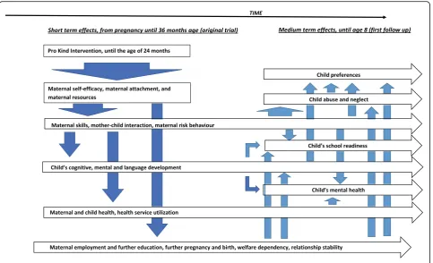 Fig. 2 Intervention’s logic model following Olds [10