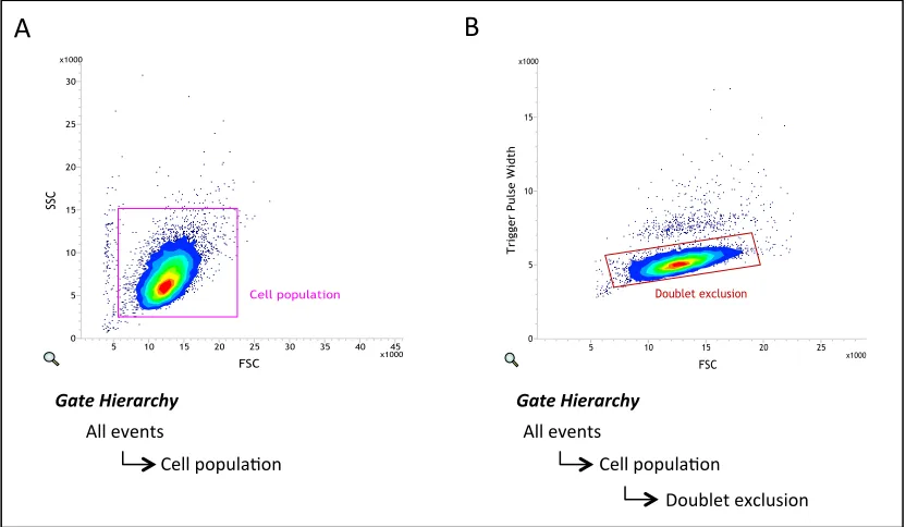 Figure 2.1: Cell sorter gating applied to all samples to exclude debris and 