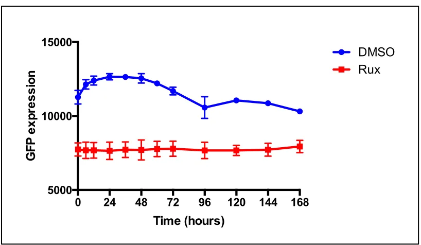 Figure 3.1: Analysis of the stability of the IFN inhibitor Rux in vitro. A549 