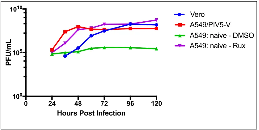 Figure 3.4: Comparison of growth of the IFN-sensitive virus, BUNΔNSs, in 