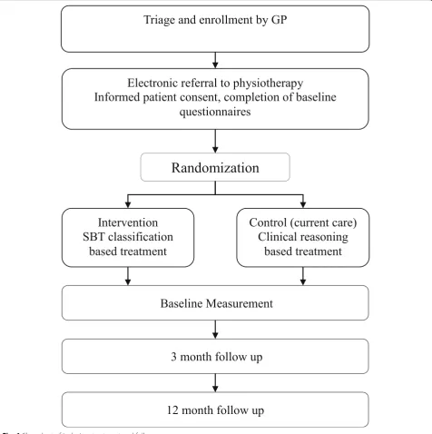 Fig. 1 Flow chart of inclusion, treatment and follow-up