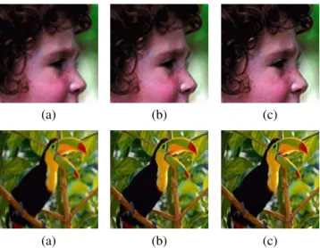 Fig. 3: Visual comparison on the head and bird images between sim- sim-ple bicubic interpolation (a), the LLE-based Neighbor Embedding algorithm (b) in a “standard” configuration (Feature 1, K = 5), and our SNMF-based algorithm (c) with Feature 2 and K = 1
