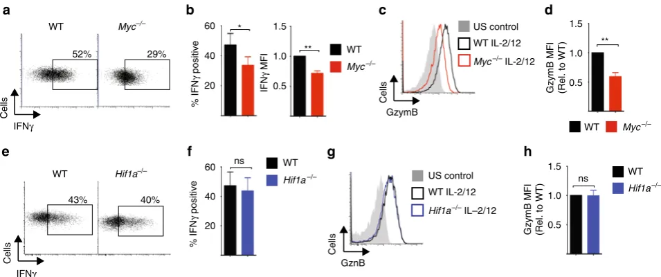 Fig. 2 cMyc, but not HIF1left unstimulated or were stimulated for 18 h with IL-2/IL-12 beforeData are mean ± s.e.m