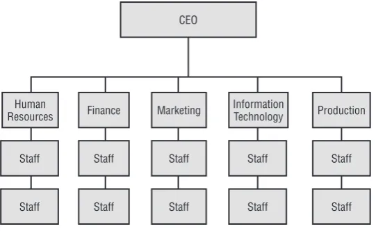 Figure 1.2 shows a typical organizational chart for a functional organization.