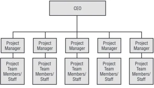 Figure 1.3 shows a typical organizational chart for a projectized organization.
