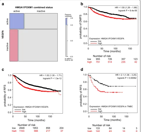Fig. 8 HMGA1, FOXM1 and VEGFA co-expression is associated with a poor prognosis in breast cancer patients.curves of RFS (relapse-free survival) in a cohort of breast cancer ( a Mosaic plot showing theproportion of patients stratified by VEGFA expression an