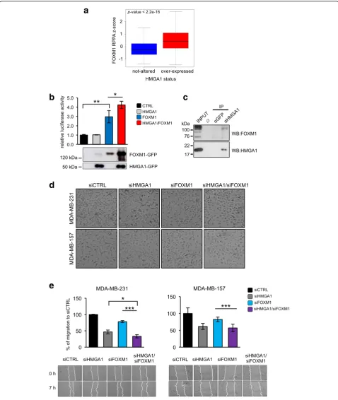 Fig. 2 (See legend on next page.)