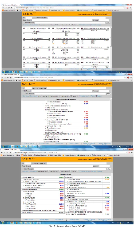 Fig. 2. Screen shots from DBM 1