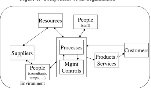 Figure 1. Components of an Organization