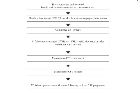 Figure 3 Flow diagram of observational study and assessment schedule.