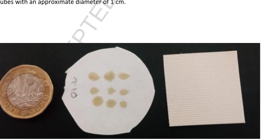 Figure 3 – Photograph of a coin for scale (left) with an Aflas-spotted Filter paper (middle) 