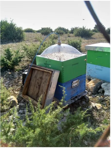 Figure 8 – Air sampling via specialised cupola on top of the bee hive. 