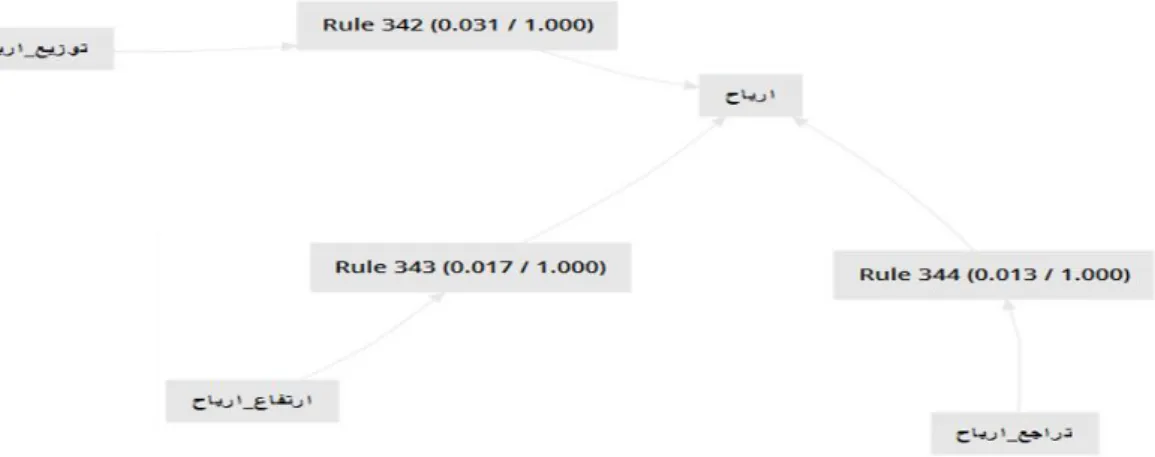 Figure 11: Visualisation of the association rules for the feature “earnings” ( حابرا )