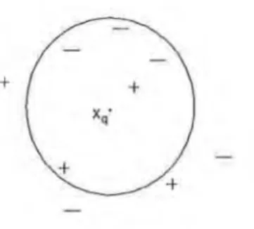 Figure  4.1:  k-nearest  neighbour  example:  In  the  figure  positive  training  examples  are  illustrated using +   and  negative  training  examples  are  shown  by  —