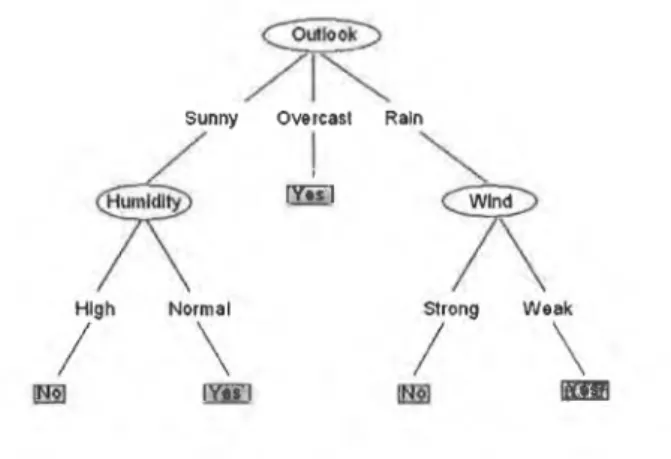 Figure  4.2:  Sample  decision  tree:  ovals  represent  attribute  nodes,  branches  corre­