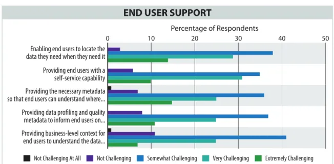 Figure 7: End User Support Challenges 