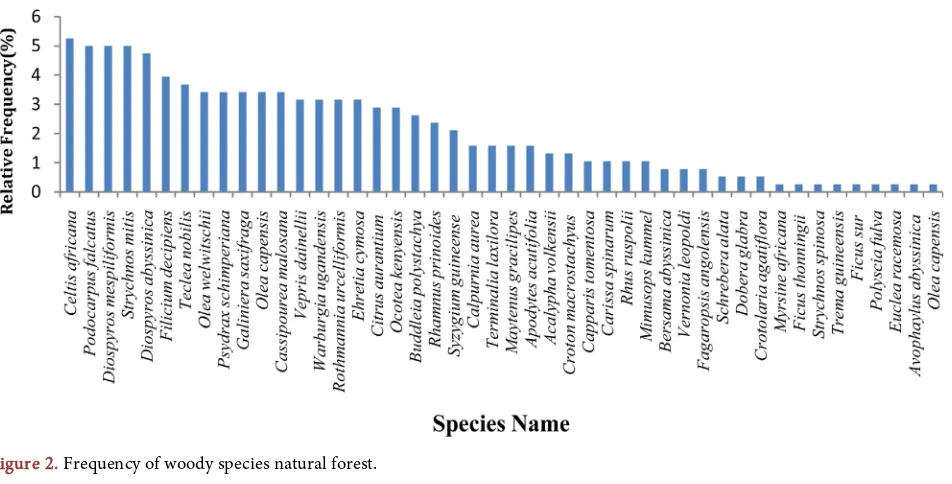 Figure 2. Frequency of woody species natural forest. 