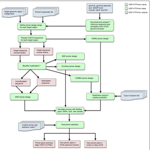 Fig. 1 The workflow of MSP-HTPrimer pipeline. The MSP-HTPrimer pipeline can be run via an intuitive web interface