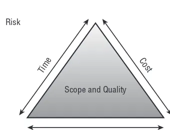 Figure 1-2: The scope triangle