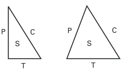 Figure 1-1. Triangles showing the relationship between P, C, T, and S.