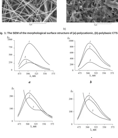 Fig.  1: The SEM of the morphological surface structure of (a)-polycationic, (b)-polybasic CTS fiber