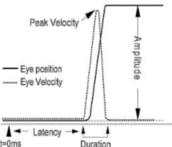 Figure 7 General saccadic parameters of  interest shown on a saccade plot [33] 
