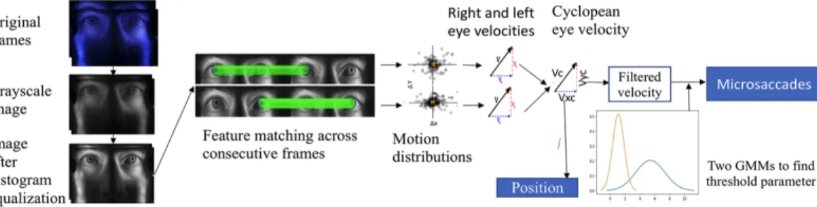 Figure 3.3: Block Diagram of iris feature extraction to microsaccades detection [4]