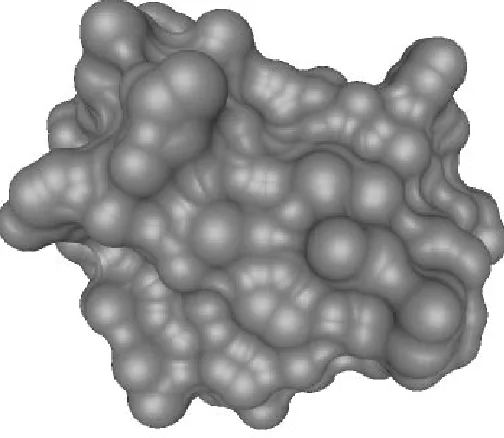 Figure 7: The molecular surface (alpha-hull) for crambin atprobe-sphere radii (alpha value) of 1.4 Angstroms.˚