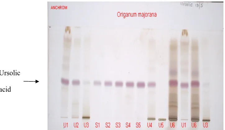 Table 1: The % w/w of ursolic acid present in O. majorana extracts. 