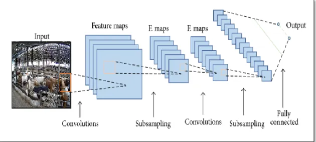 Figure 2.4: The generic structure convolutional neural network and sub sampling  layer 