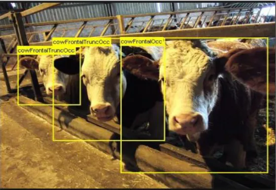 Figure 2.5 Example of object detection Pascal VOC challenge   (Everingham et al., 2015) 