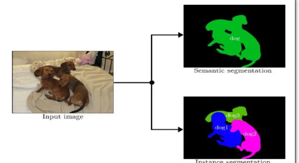 Figure 2.6 Illustration difference between the instance segmentation and semantic  segmentation  