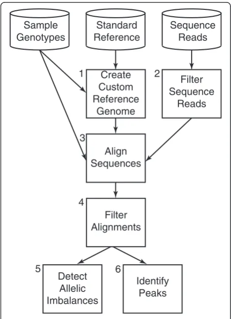 Fig. 1 Overview of AA-ALIGNER. Sample genotypes or commonvariants are used to create a custom reference genome (1)