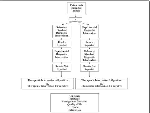 Figure 4 Blind diagnostic intervention randomized controlled trial.