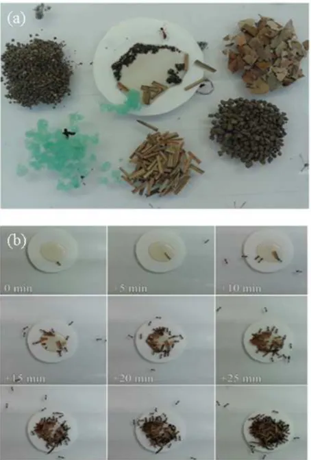 Figure 1AClick here to download high resolution image