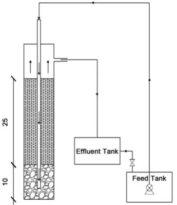 Figure 1. Schematic diagram of upflow filter set-up (dimensions unit is cm). 