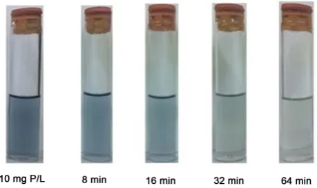Figure 2. The samples colour becomes lighter over the course of experiment operating as indication of phosphate sorption (photos taken by author)