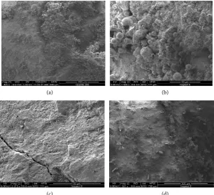 Figure 3. SEM comparison of material surface before and after coating. 