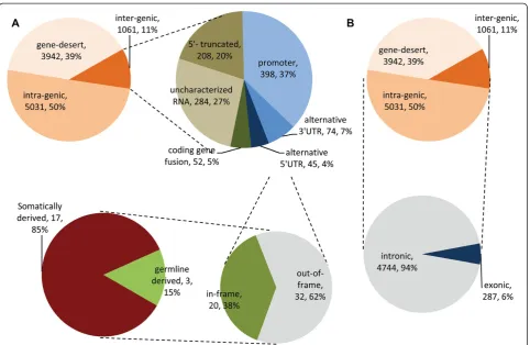Fig. 5 Distribution of intergenic and intragenic ovarian cancer SVs. a Distribution of germline and somatically derived intergenic SVs; (b)Distribution of intronic and exonic intragenic SVs
